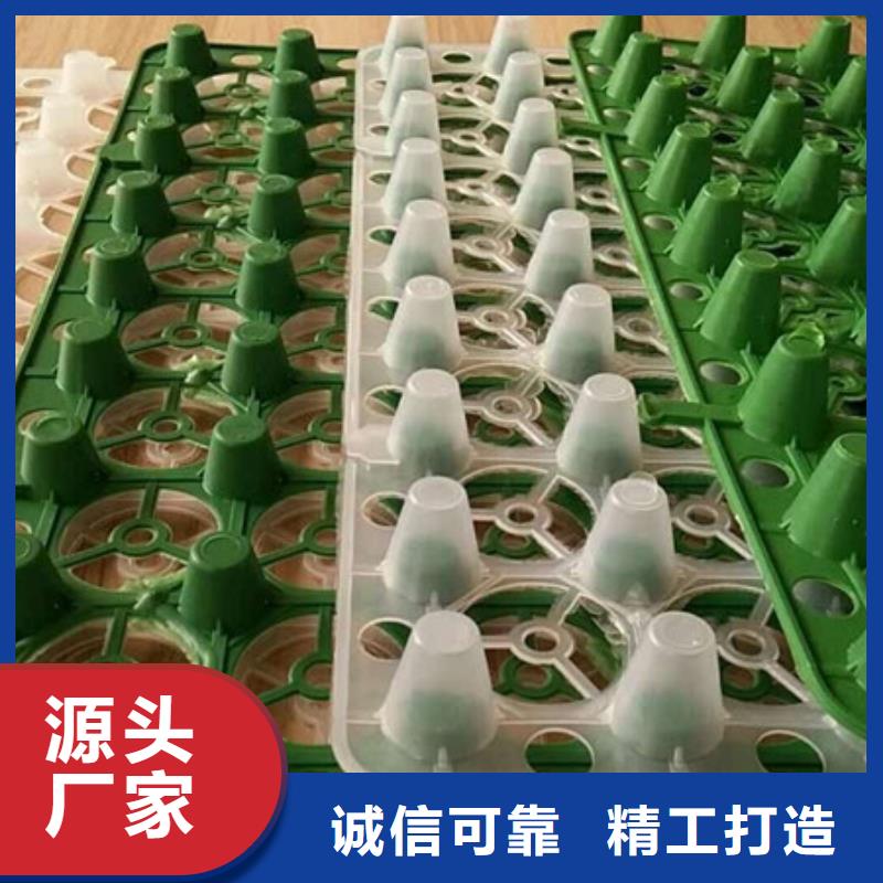 塑料排水板厂家供应