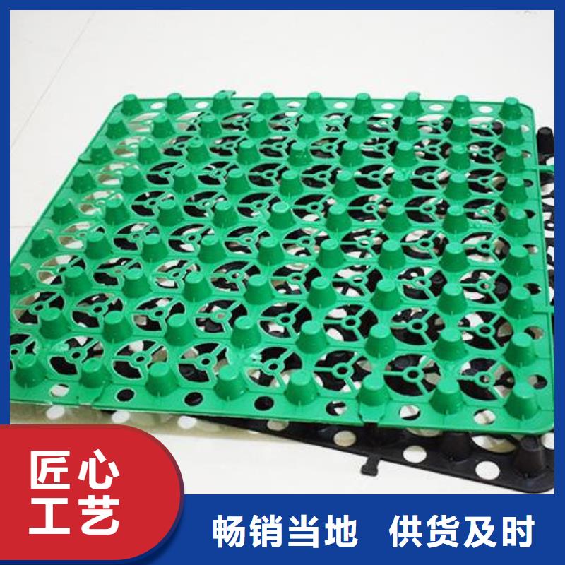 排水板厂家工厂店直营
