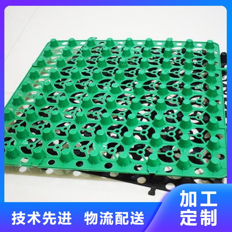 塑料排水板直供厂家