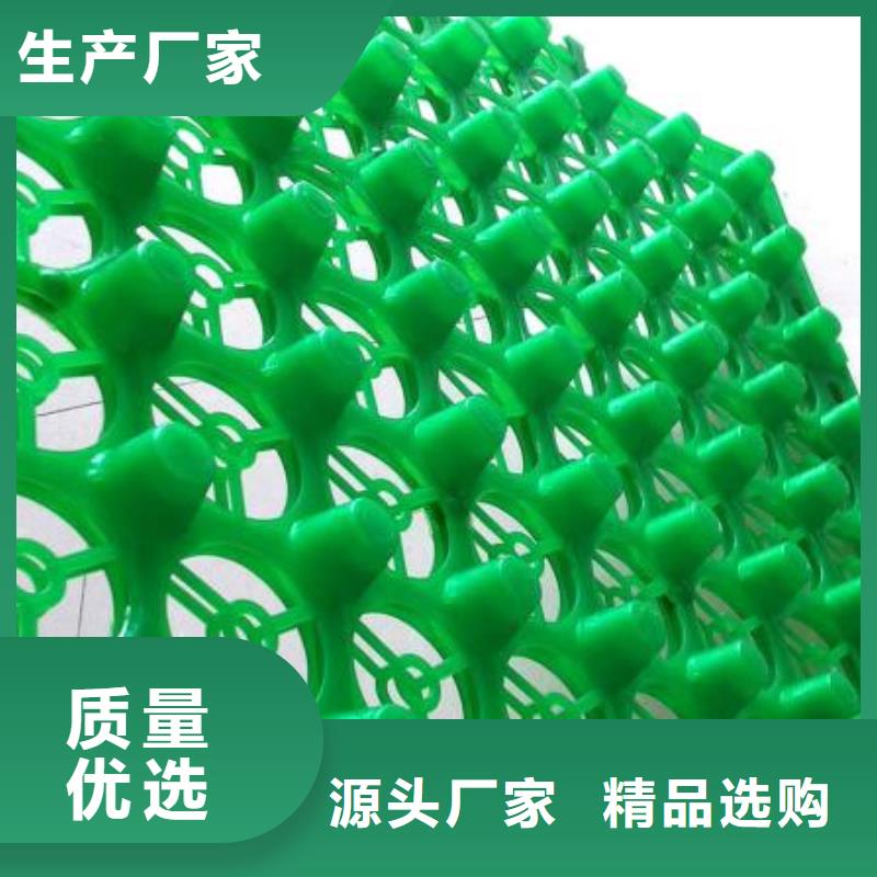 排水板直供厂家