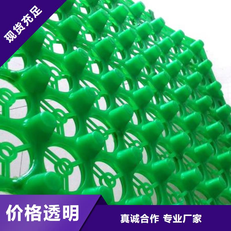 排水板直供厂家