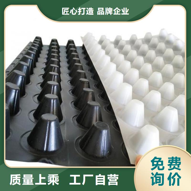 塑料排水板现货直供