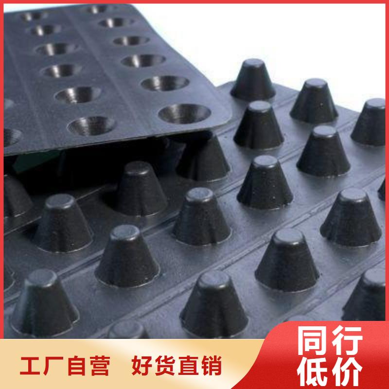 塑料排水板工厂价
