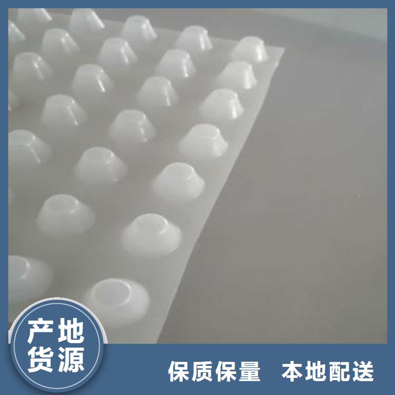 排水板厂家直供