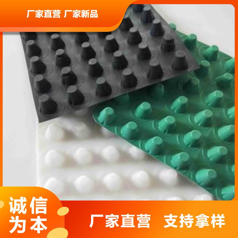 塑料排水板厂家直销中