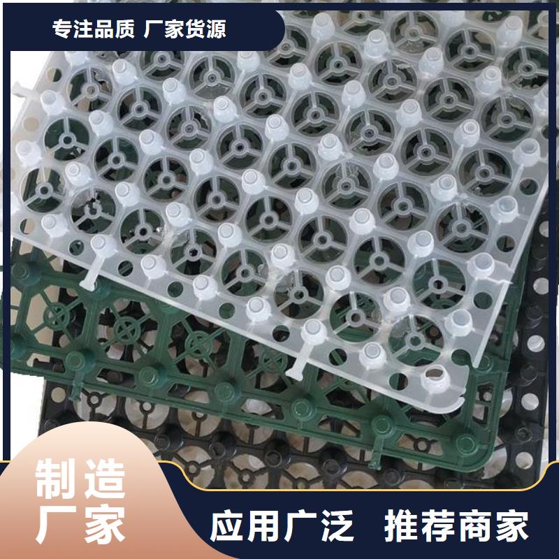 塑料排水板-朋联工程有限公司直营