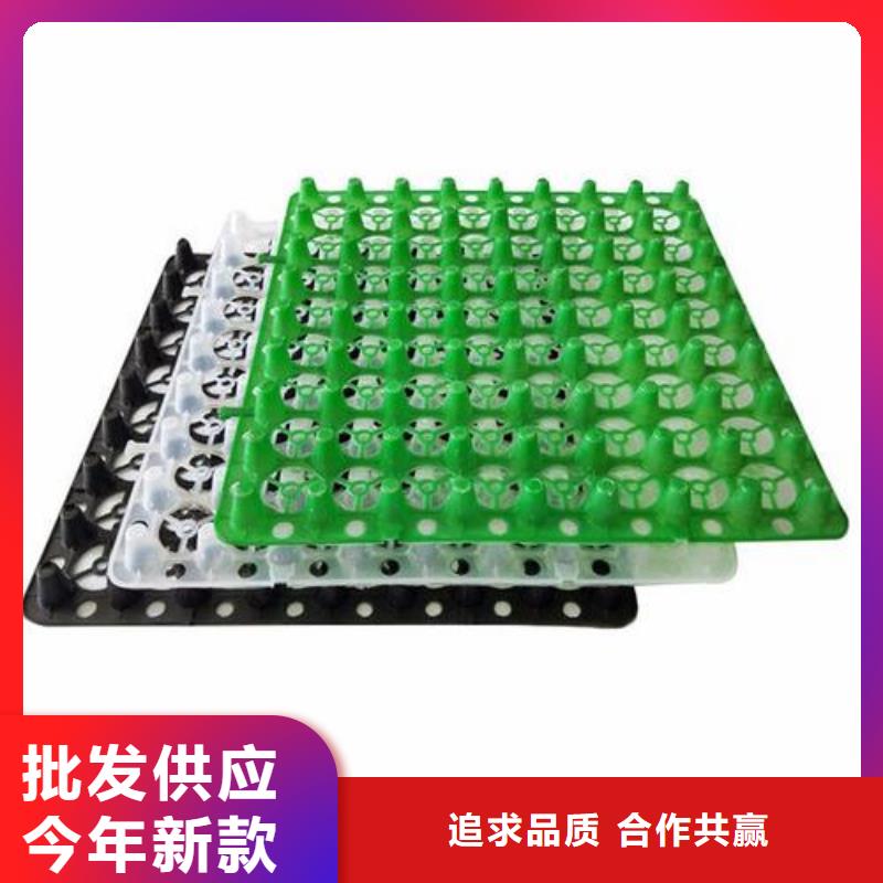 排水板实力优品
