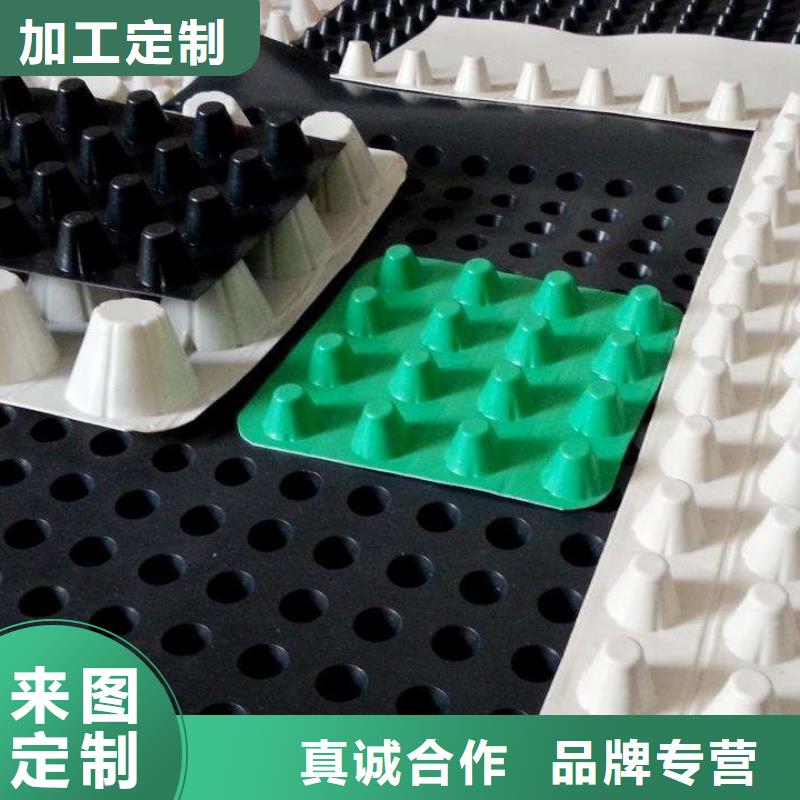 塑料排水板*生产厂家