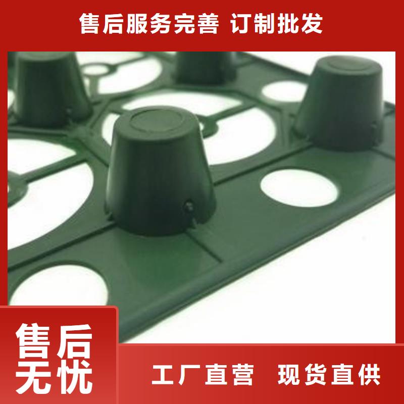 车库排水板价格-生产厂家