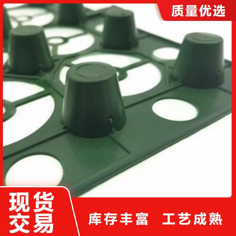 塑料排水板-规格齐全