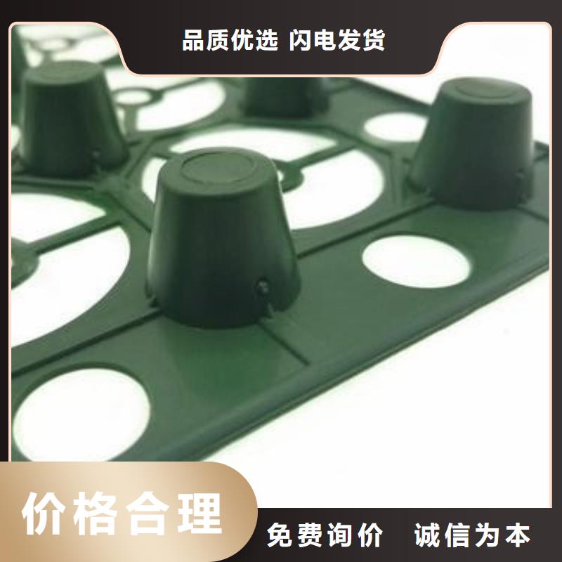 塑料排水板现货直供