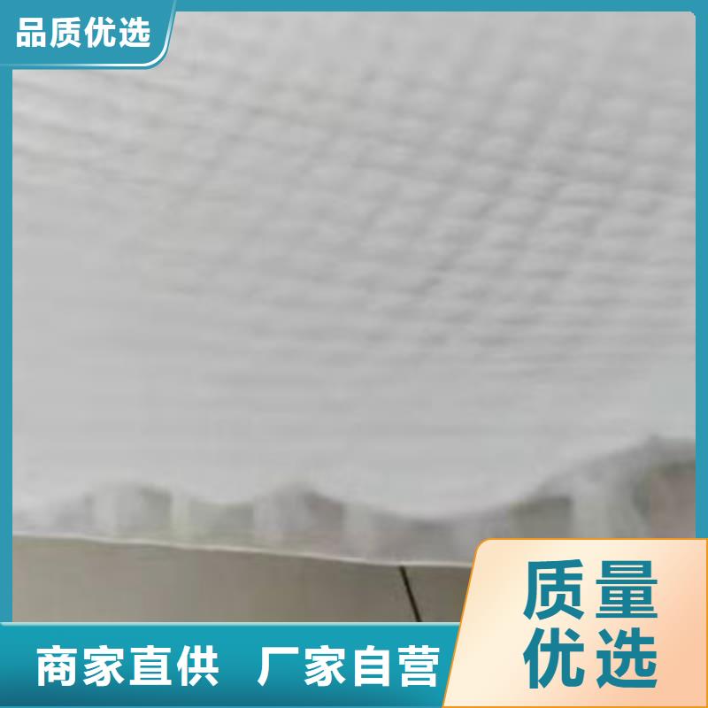 蓄排水板厂家欢迎您