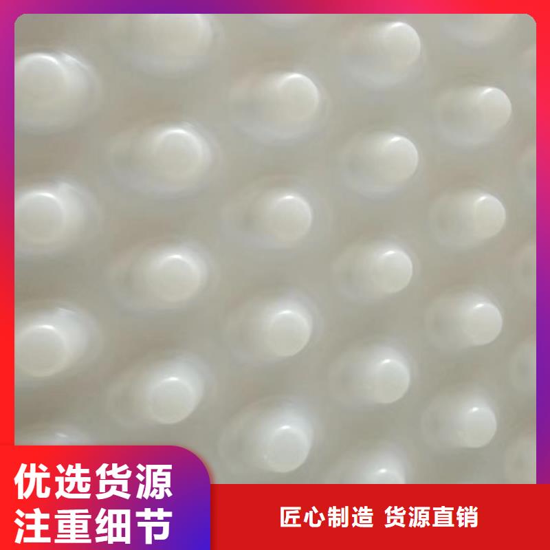 排水板型号齐全
