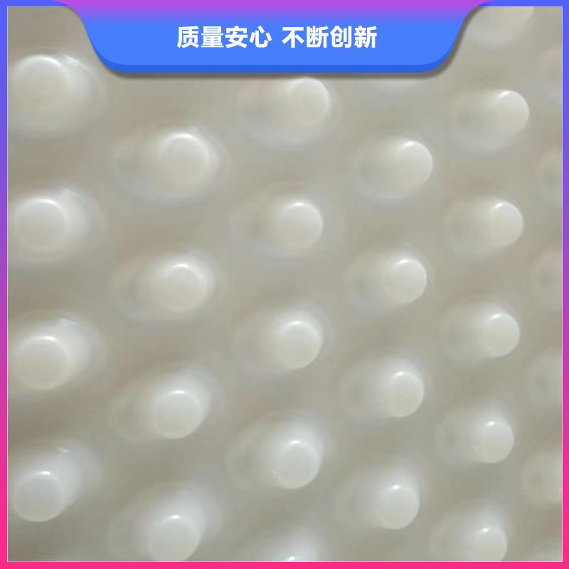 塑料排水板生产工厂-现价
