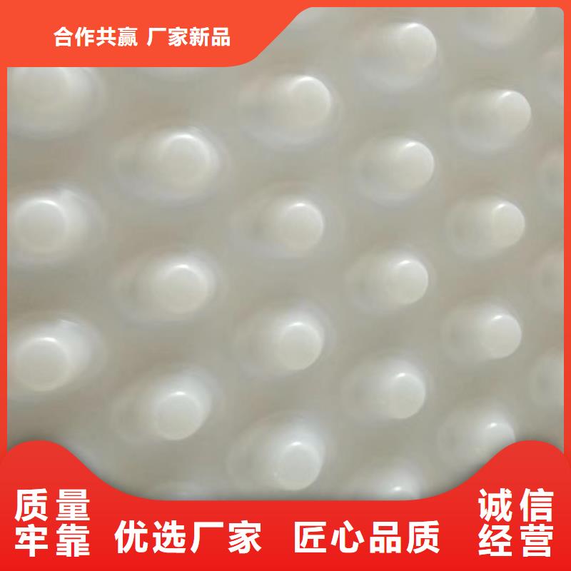 塑料排水板多钱