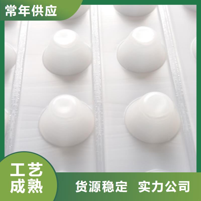 排水板直供厂家