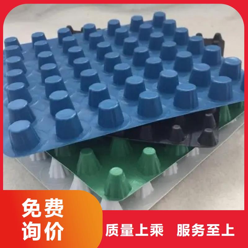 排水板,植草格诚信经营现货现发