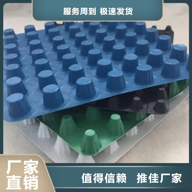 塑料排水板本地厂家