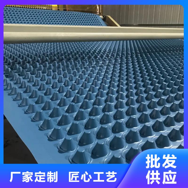 塑料排水板本地公司