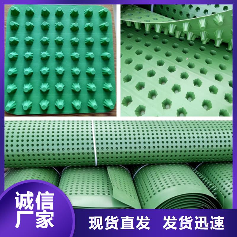 【排水板工期短发货快】