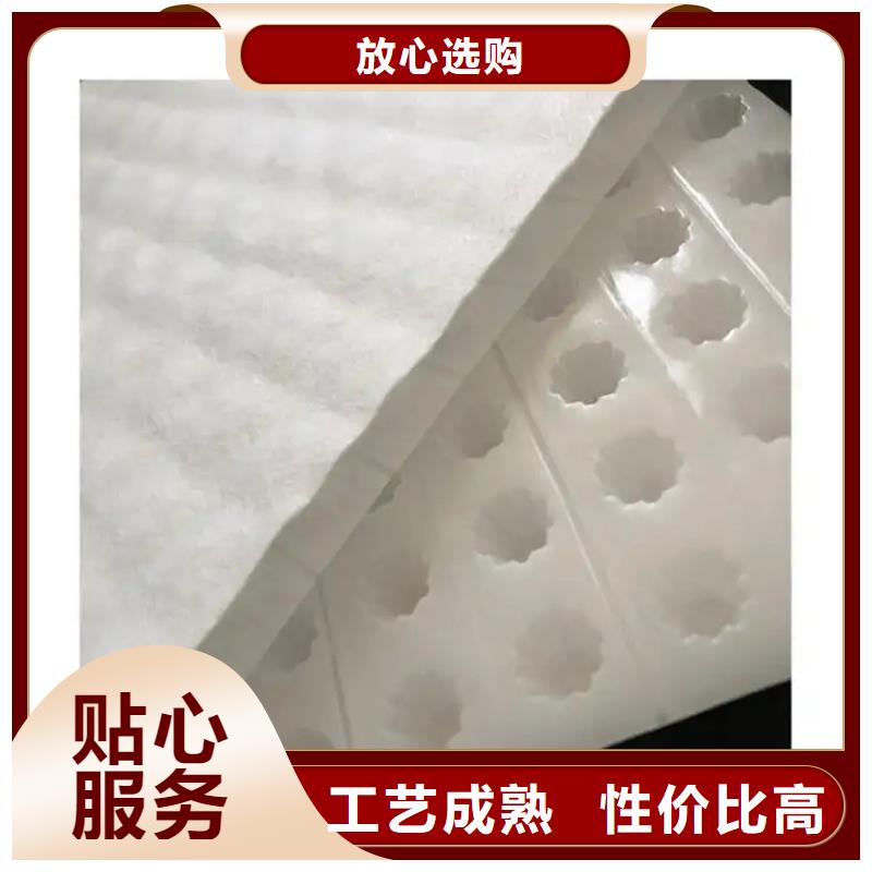 防护虹吸排水收集系统厂家