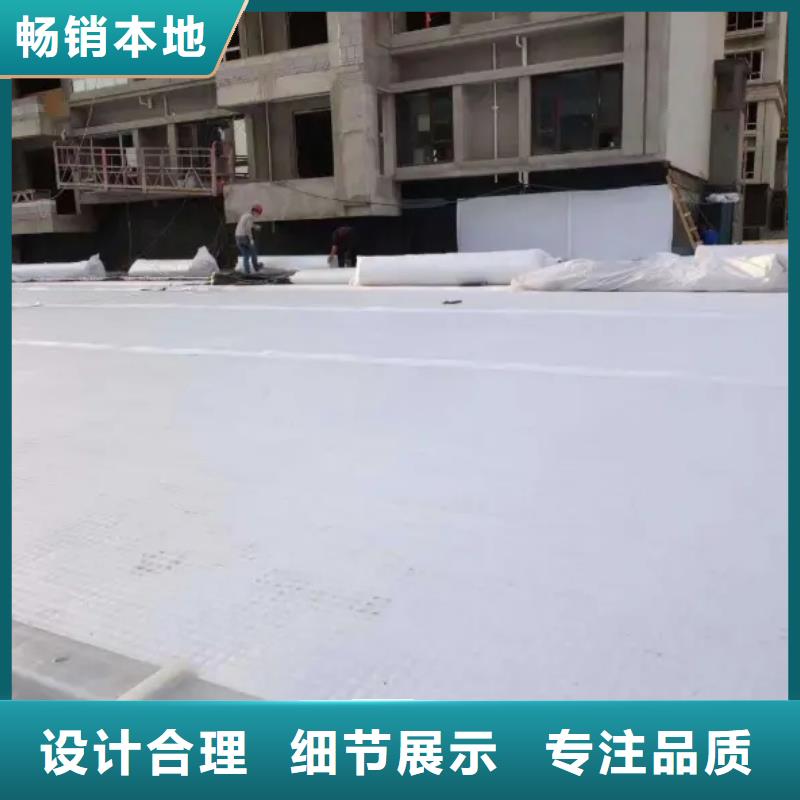 防护虹吸排水收集系统价格