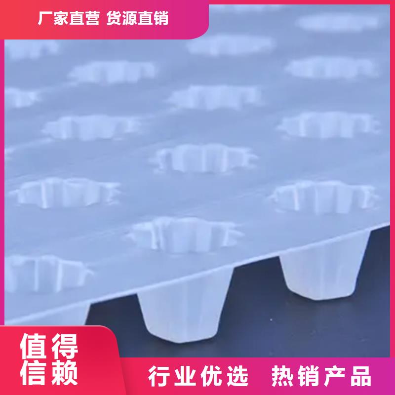 虹吸排水板本地厂家