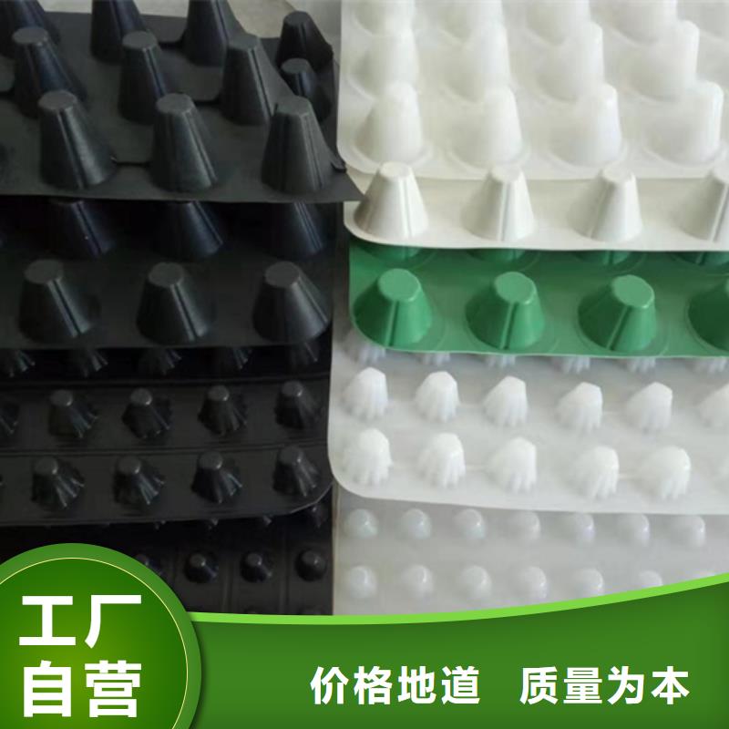 虹吸排水植草格源头工厂量大优惠