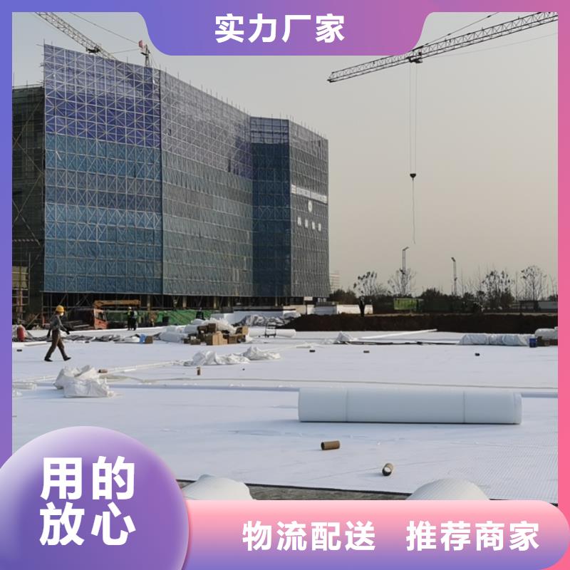 虹吸排水【排水板】厂家