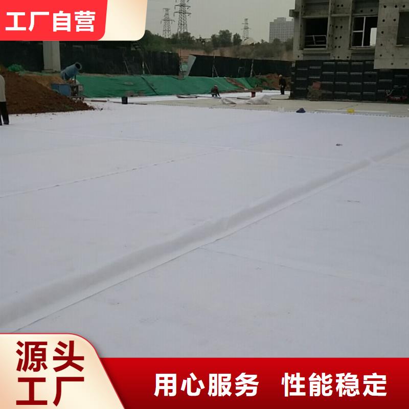 防护虹吸排水收集系统定制咨询-