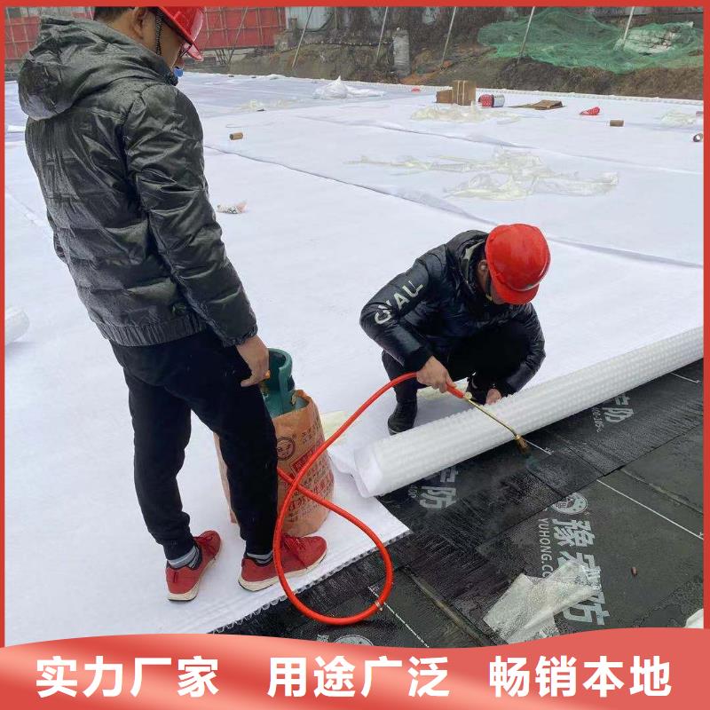 防护虹吸排水收集系统种类齐全