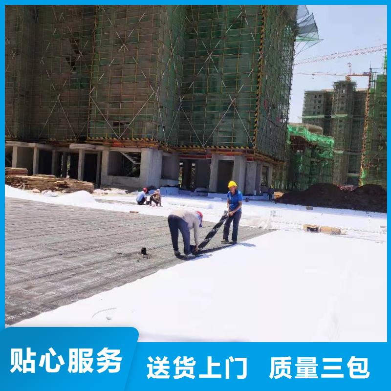 零坡度防护虹吸排水收集系统批发价/厂家