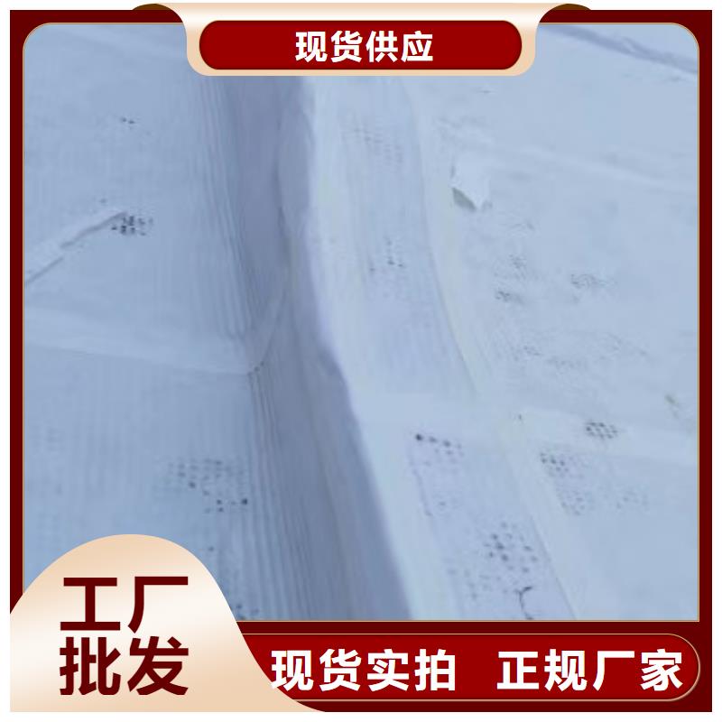 高分子防护排水异形片直供厂家