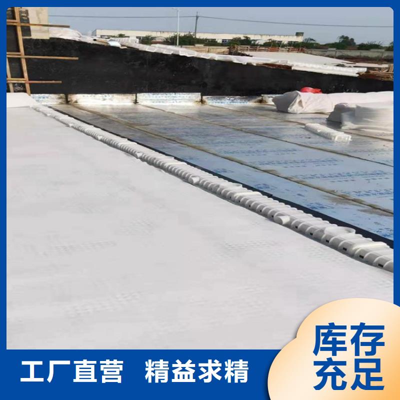 防护虹吸排水收集系统批发价格