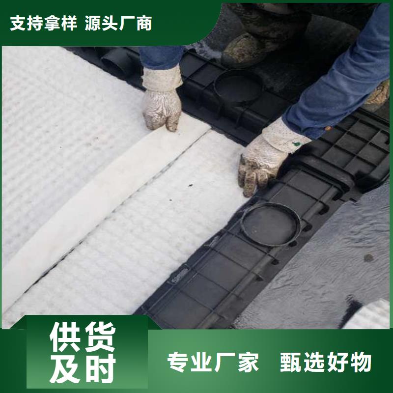 防护虹吸排水收集系统-市场行情