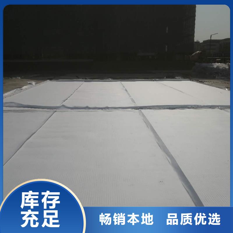 高分子防护排水异形片直供厂家