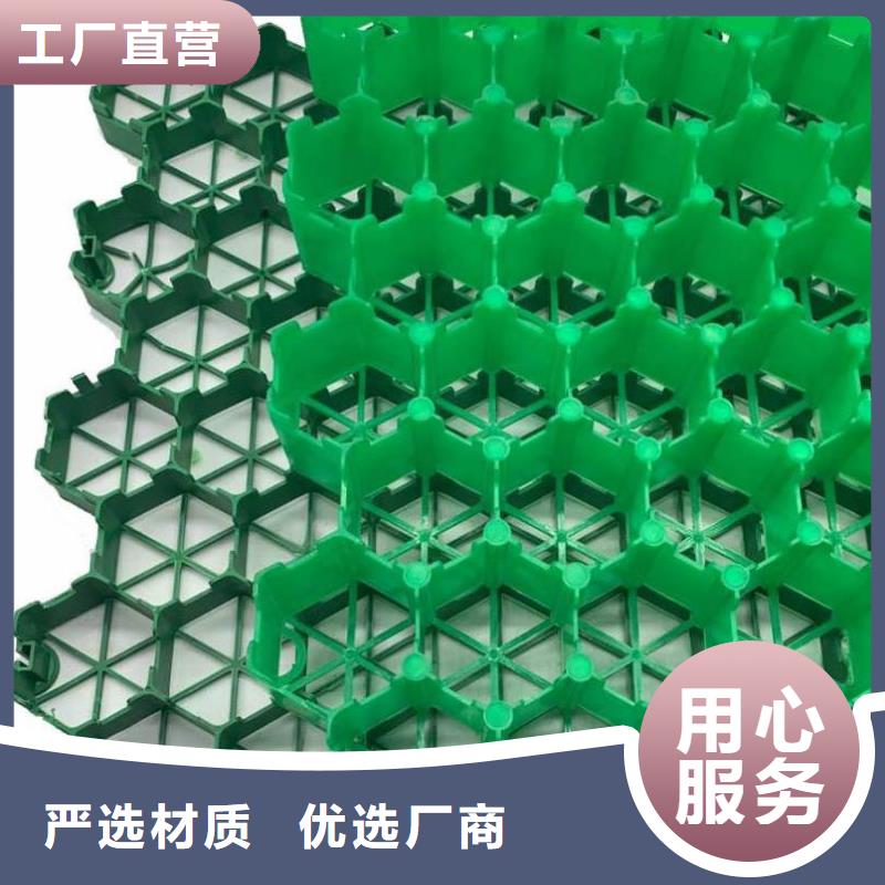 植草格生产厂家*价格