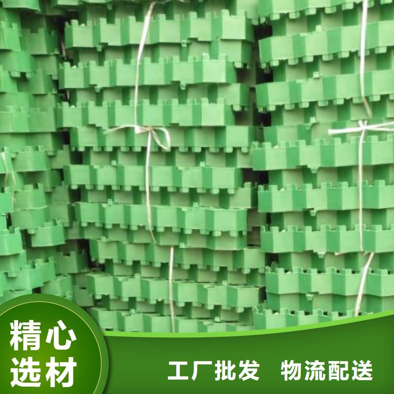 植草格价格#行情价2025