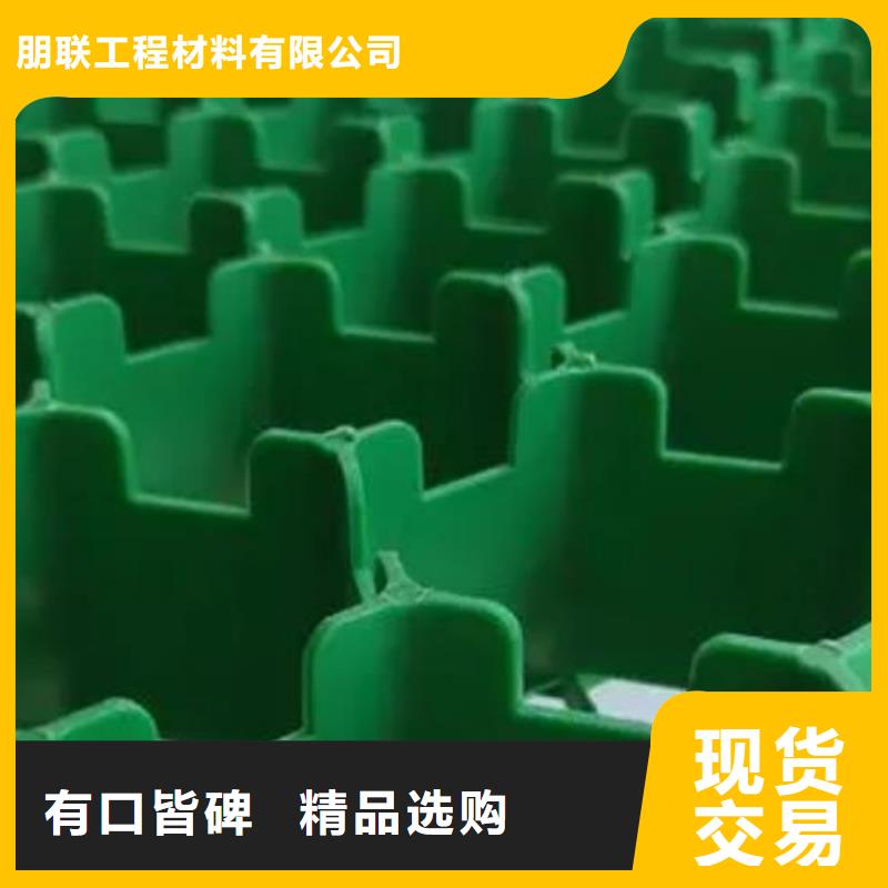 植草格厂家-批发价