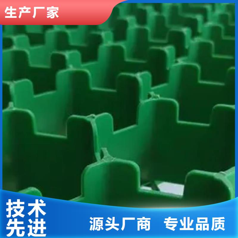 塑料植草格本地工厂@直营中