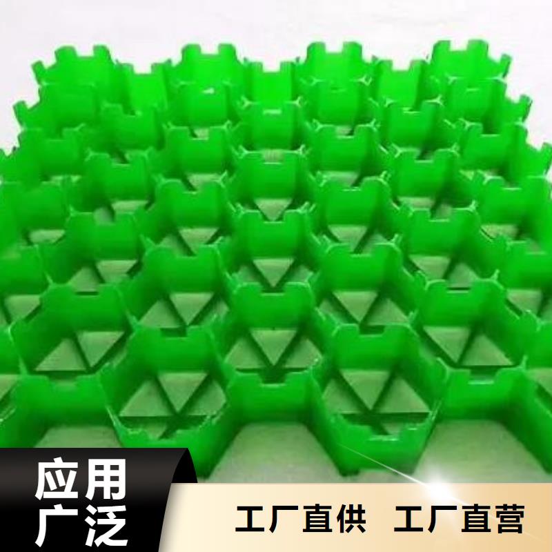 塑料植草格价格咨询