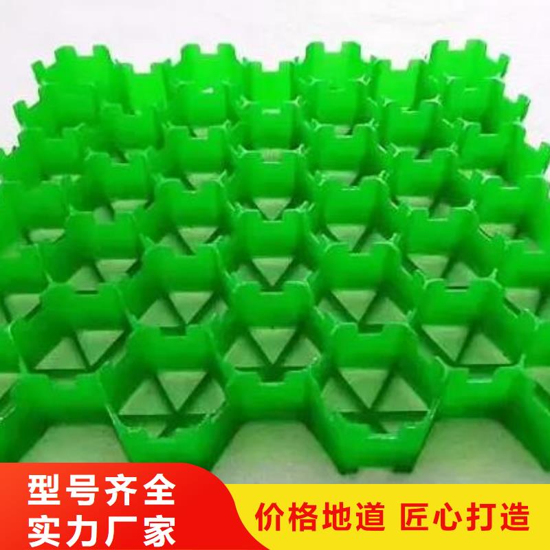 植草格/本地公司