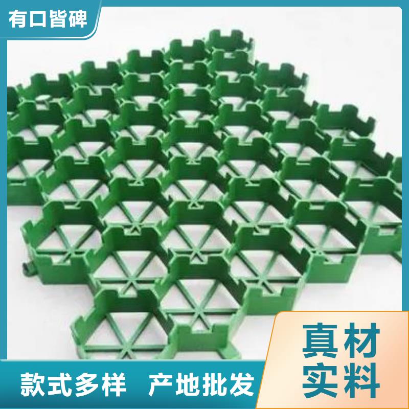 植草格排水板实力厂家直销