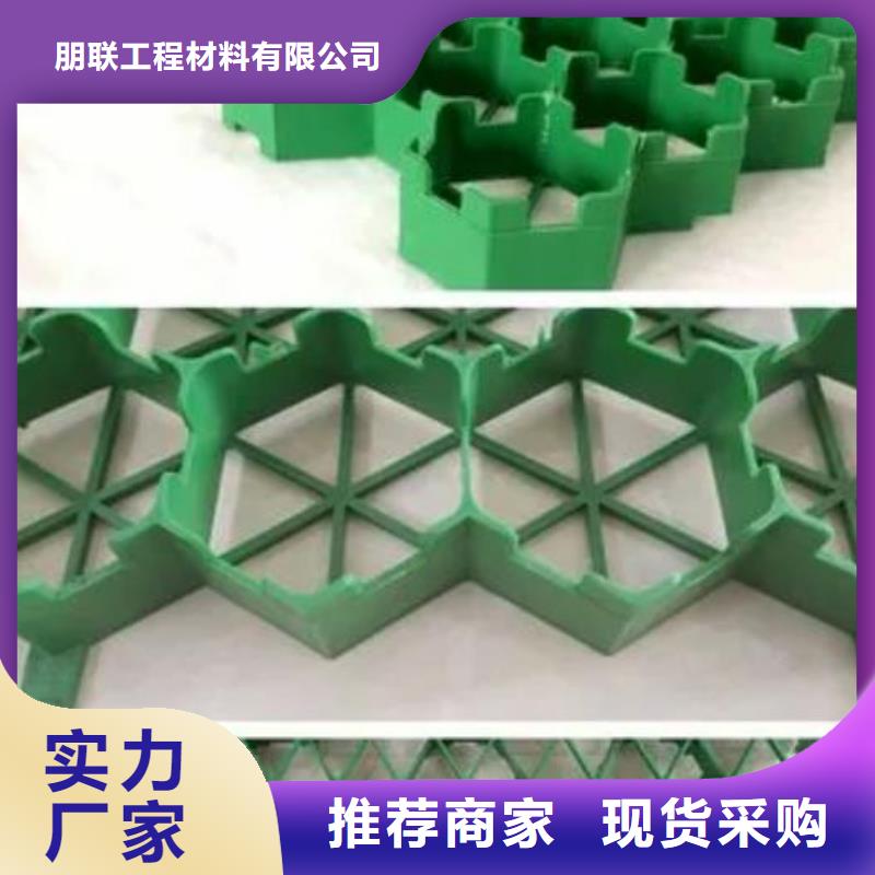 塑料植草格价格咨询