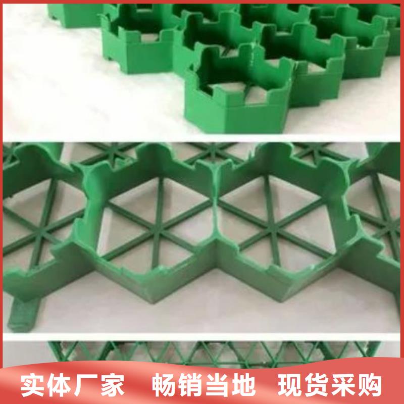 塑料植草格型号全都有