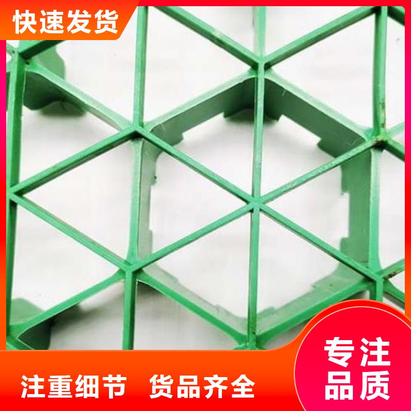 塑料植草格厂家代理商