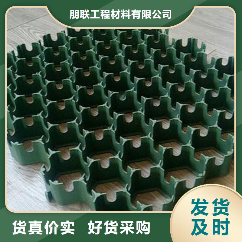 停车场植草格-山东朋联工程