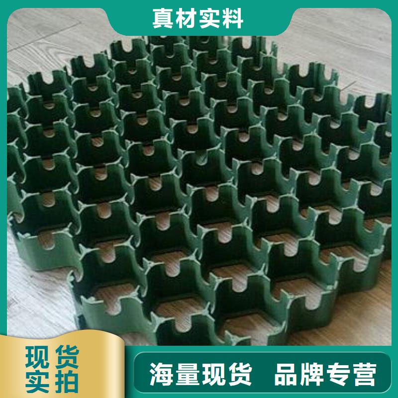 植草格/本地公司