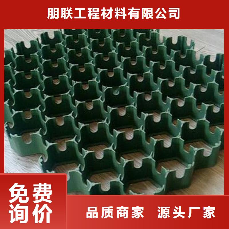 停车场植草格-山东朋联工程
