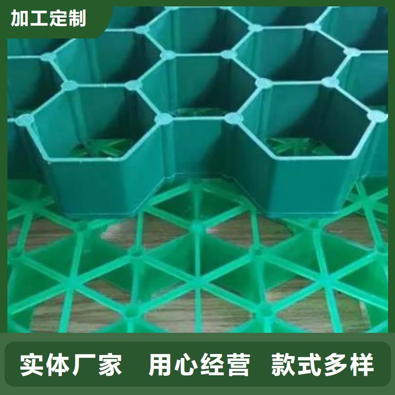 塑料植草格产品-批发零售
